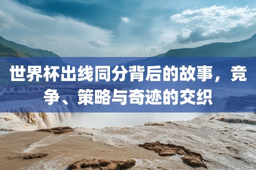 世界杯出线同分背后的故事，竞争、策略与奇迹的眉山市正发家政服务有限公司交织