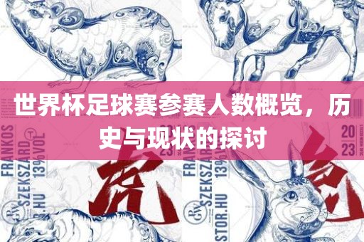 世界杯足球赛参赛人数概览，历史与现状的探讨