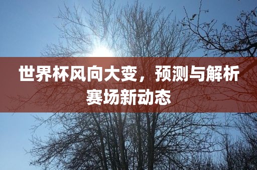 世界杯风向大变，预测与解析赛场新动态