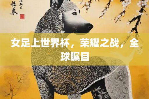 女足上世界杯，荣耀之战，全球瞩目眉山市正发家政服务有限公司