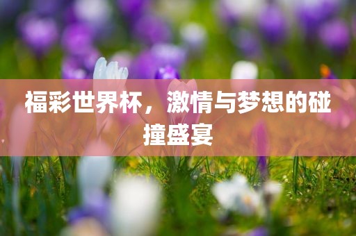 福彩世界杯，激情与梦想的碰撞盛宴