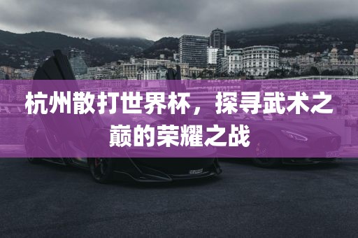 杭州散打世界杯，探寻武术之巅的荣耀之战