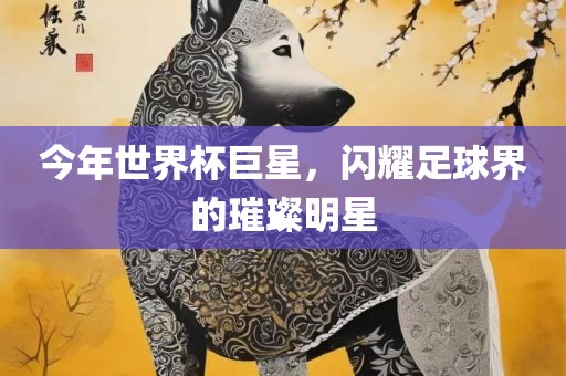 今年世界杯巨星，闪耀足球界的璀璨明星