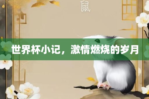 世界杯小记，激情燃烧的岁月