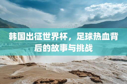 韩国出征世界杯，足球热血背后的故事眉山市正发家政服务有限公司与挑战