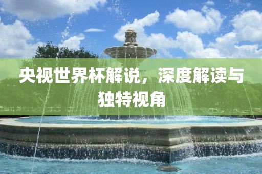 央视世界杯解说，深度解读与独特视角眉山市正发家政服务有限公司