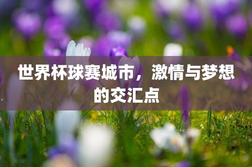 世界杯球赛城市，激情与梦想的交汇点