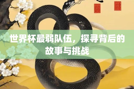 世界杯最弱队伍，探寻背后的故事与挑战