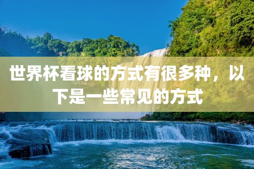 世界杯看球的方式有很多种，以下是一些常见的方式