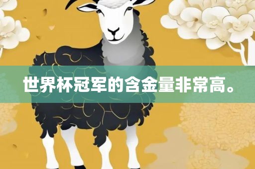 世界杯冠军的含金量非常高。