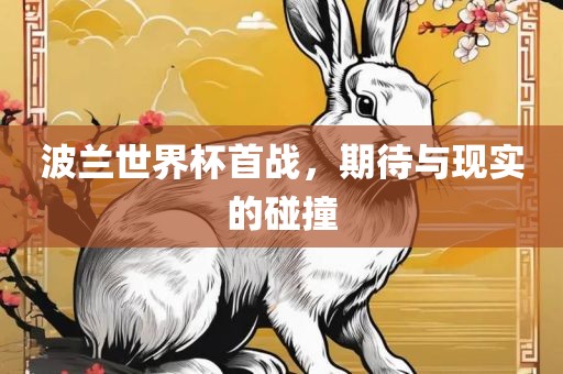 波兰世界杯首战，期待与现实的碰撞眉山市正发家政服务有限公司