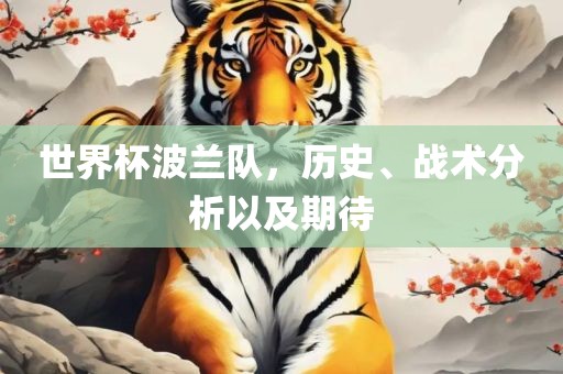 世界杯波兰队，历史、战术分析以及期待