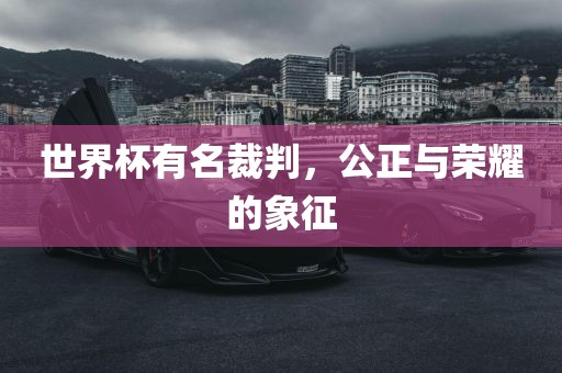 世界杯有名裁判，公正与荣耀的象眉山市正发家政服务有限公司征