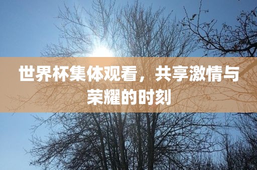 世界杯集体观看，共享激情与荣耀的时刻眉山市正发家政服务有限公司