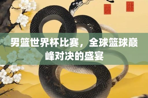 男篮世界杯比赛，全球篮球巅峰对决的盛宴