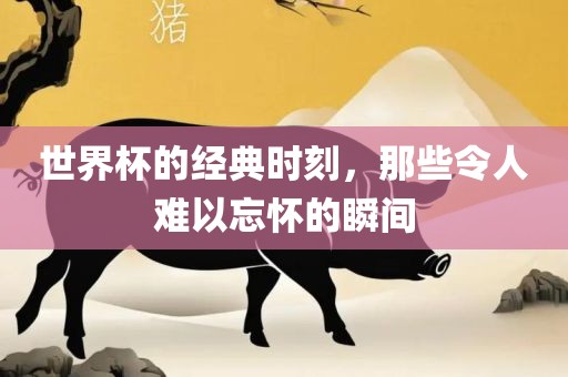 世界杯的经典时刻，那些令人难以忘怀的瞬间眉山市正发家政服务有限公司
