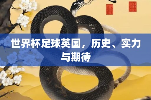 世界杯足球英国，历史、实力与期待
