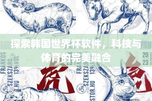 探索韩国世界杯软件，科技与体育的完美融合