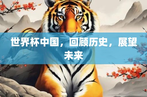 世界杯中国，回顾历史，展望未来眉山市正发家政服务有限公司