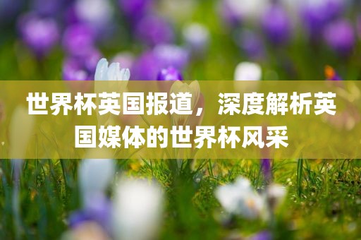 世界杯英国报道，深度解析英国媒体的世界杯风采眉山市正发家政服务有限公司