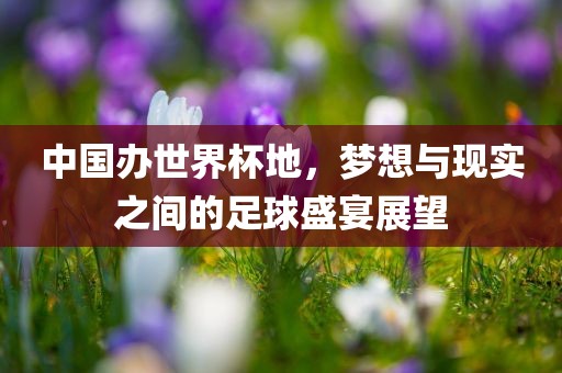 中国办世界杯地，梦想与现实之间的足球盛宴展望