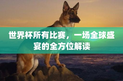 世界杯所有比赛，一场全球盛宴的全方位解读眉山市正发家政服务有限公司
