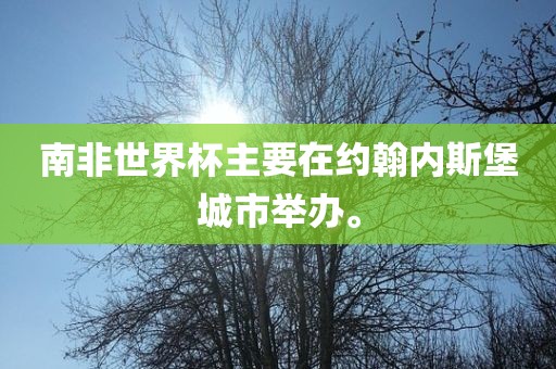 南非世界杯主要在约翰内斯堡城市举办。眉山市正发家政服务有限公司