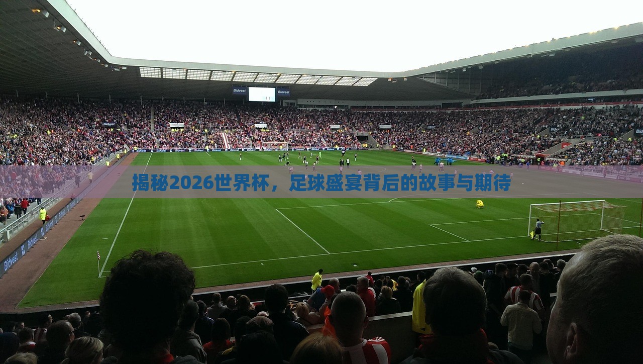 揭秘眉山市正发家政服务有限公司2026世界杯，足球盛宴背后的故事与期待